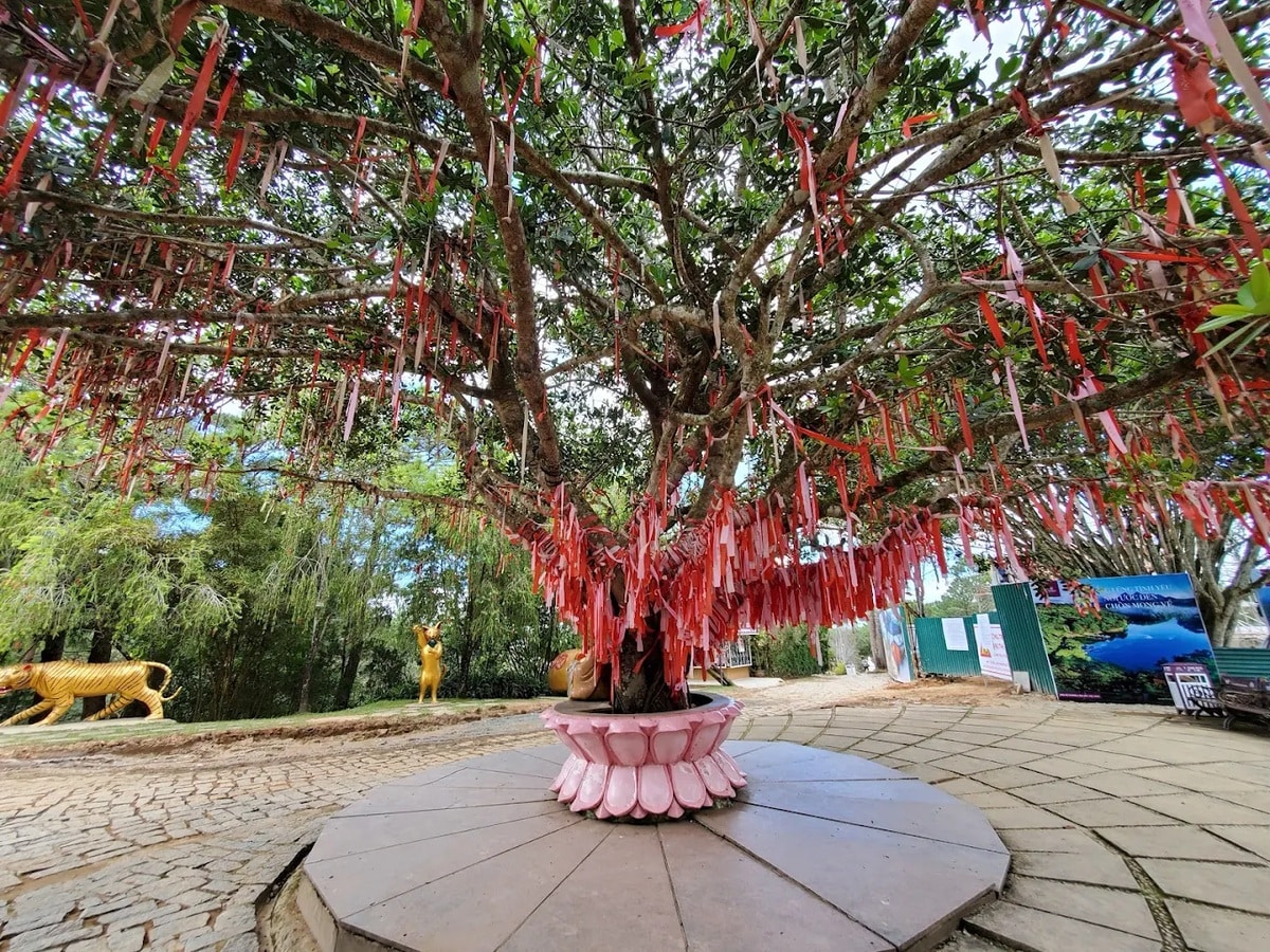 Cây ước nguyện